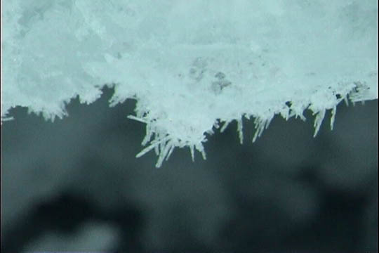 clip0005