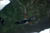 clip0006