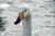 clip0009