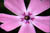 clip0004