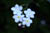 clip0001