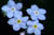 clip0003