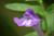 clip0004