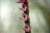 clip0010