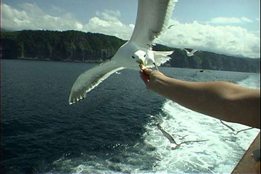 clip0013