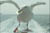 clip0005