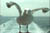 clip0006