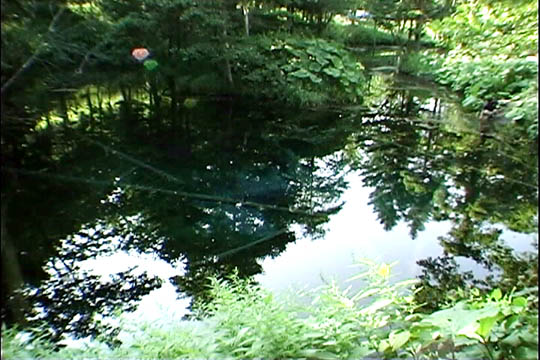 clip0011