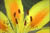 clip0003