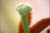 clip0004