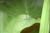 clip0025