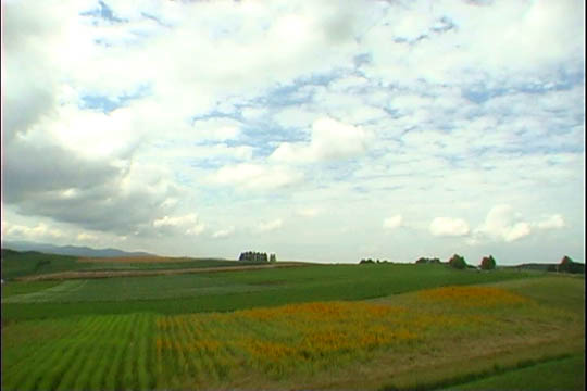 clip0018