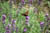 clip0011