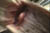 clip0047