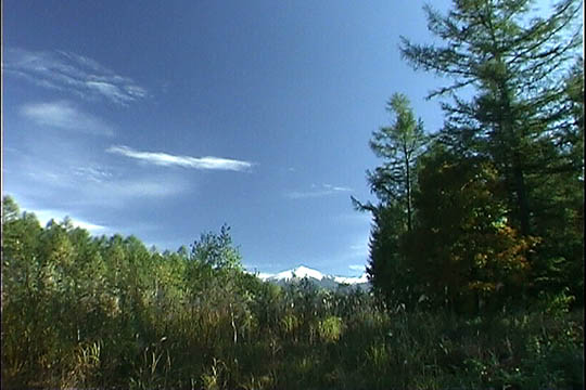 clip0009