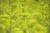 clip0001