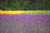 clip0002