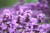 clip0005