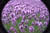 clip0010