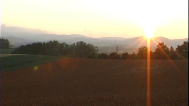 clip0005