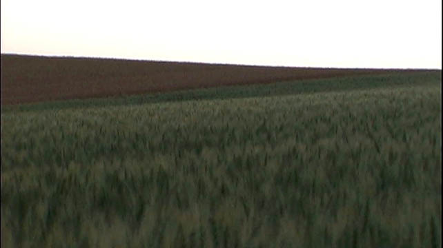 clip0011