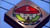 clip0001