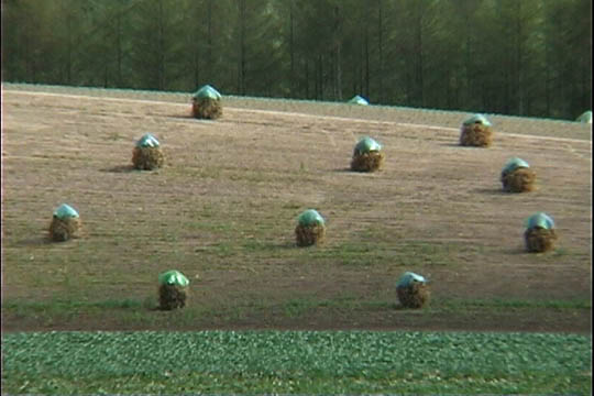 clip0003