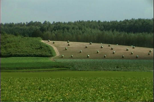 clip0004