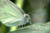 clip0003