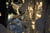 clip0004