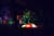 clip0009