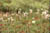 clip0004