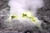clip0021