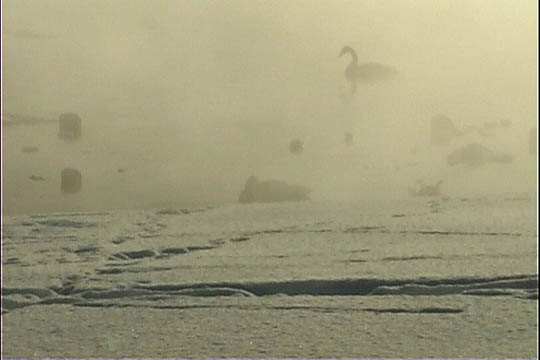 clip0012