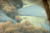 clip0004