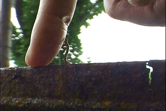 clip0001