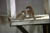clip0009