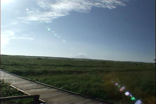 clip0002