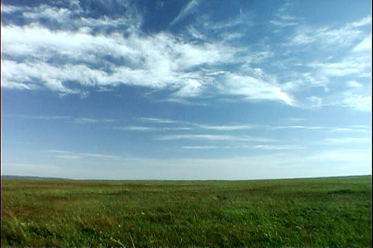 clip0003