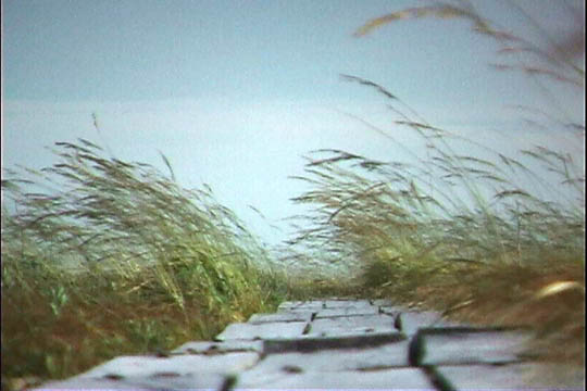 clip0005