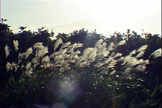 clip0010