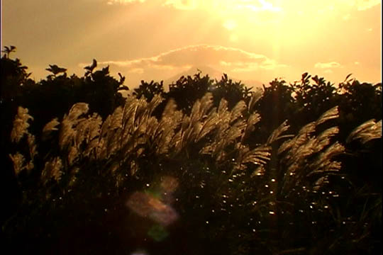 clip0011