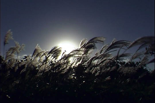 clip0013