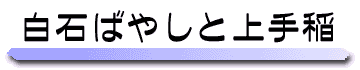 ΂΂₵Ə