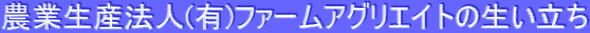 _ƐY@l(L)t@[AOGCg̐