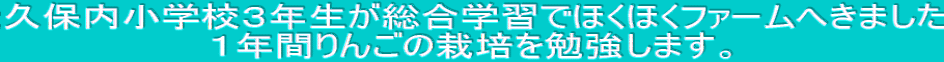 vۓwZRNwKłققt@[ւ܂ PNԂ񂲂͔̍|׋܂B